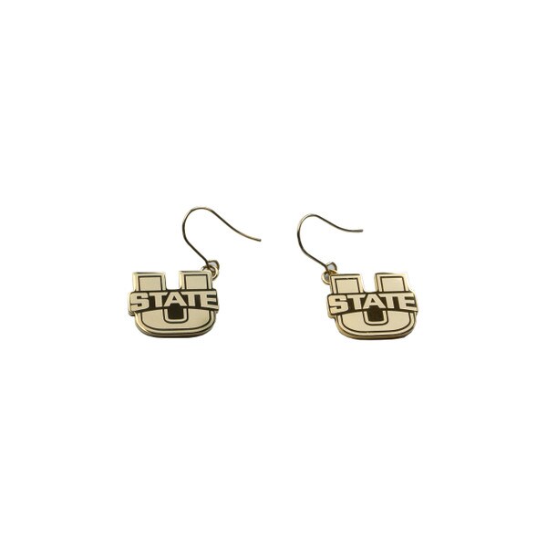 U-State Stainless Steel Gold Earrings Dangle